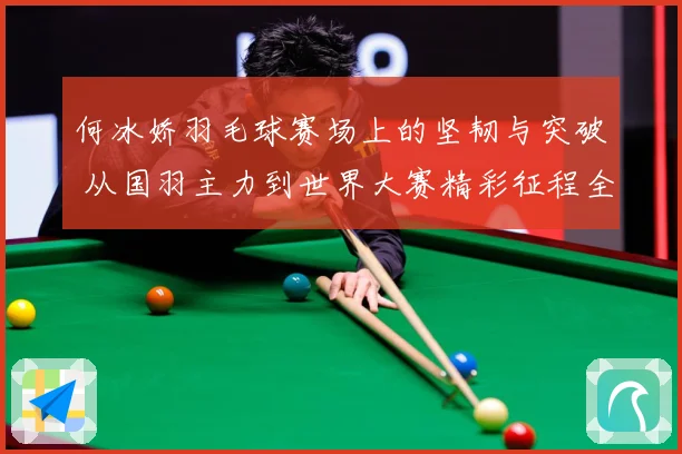 何冰娇羽毛球赛场上的坚韧与突破 从国羽主力到世界大赛精彩征程全景回顾