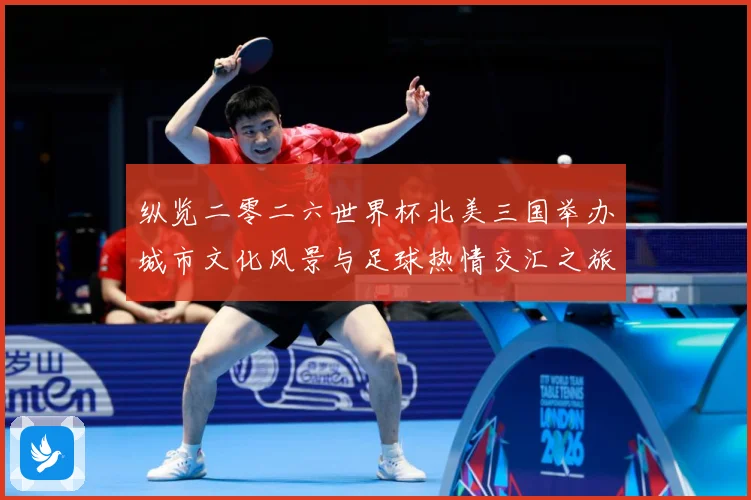 纵览二零二六世界杯北美三国举办城市文化风景与足球热情交汇之旅赛事前瞻