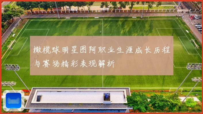 橄榄球明星图阿职业生涯成长历程与赛场精彩表现解析