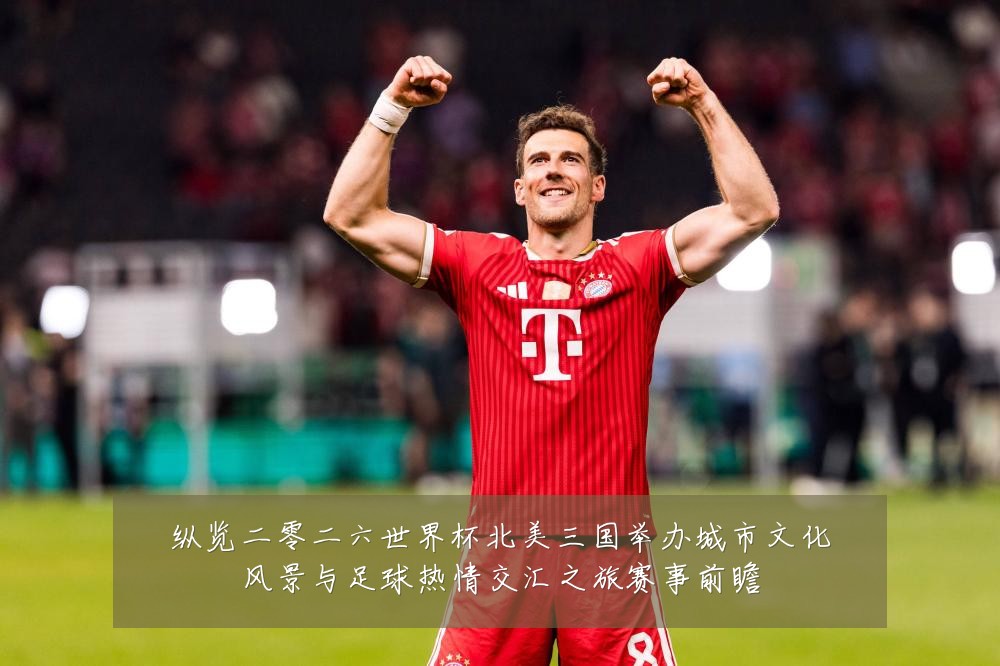 纵览二零二六世界杯北美三国举办城市文化风景与足球热情交汇之旅赛事前瞻